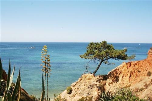Apartamento Almerinda Albufeira Ngoại thất bức ảnh